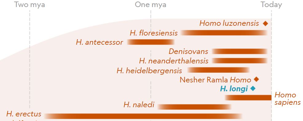 Hominids